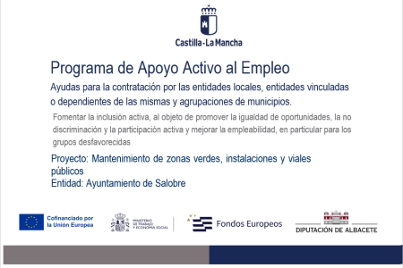 Programa Apoyo Activo al Empleo