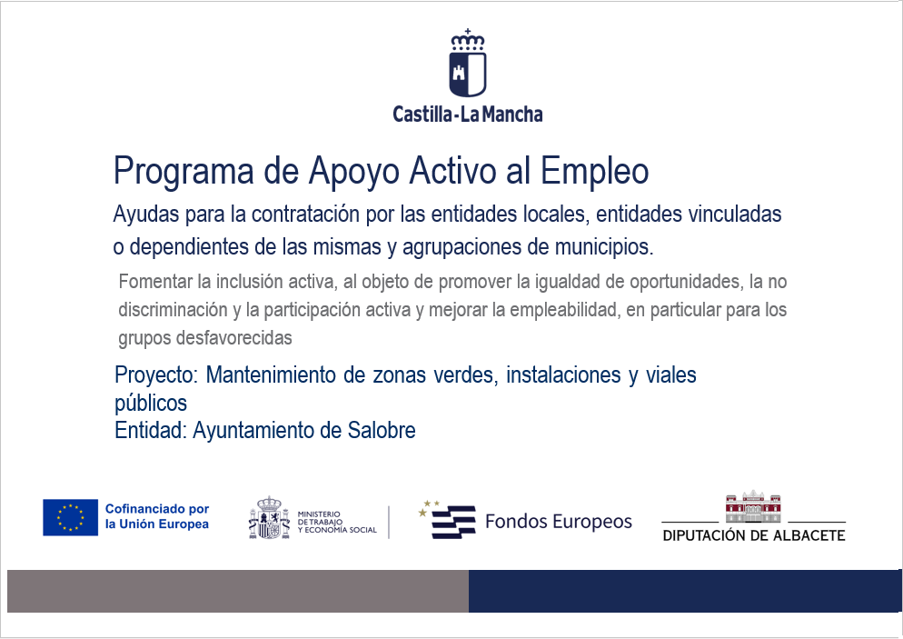 Programa Apoyo Activo al Empleo